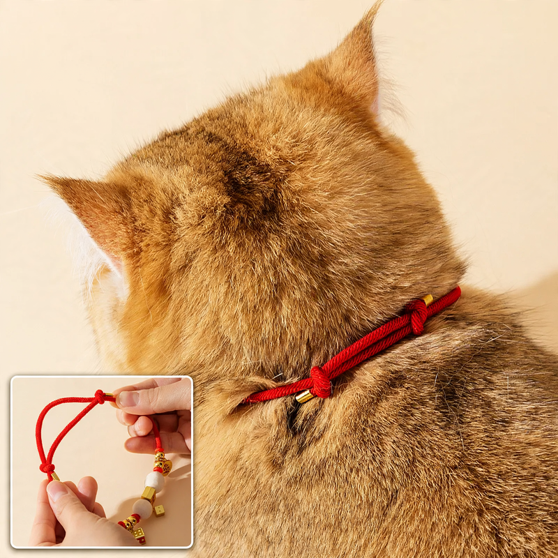 Adjustable collar for small dogs and cats