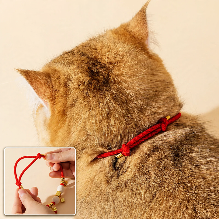 Adjustable collar for small dogs and cats