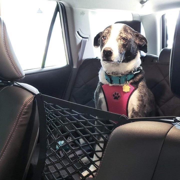 BowLift | Car Seat Storage Net Hook Organizer