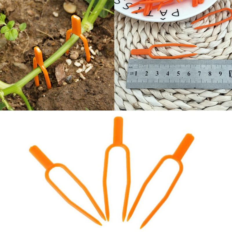 BowLift | Garden plants support clamps made of plastic for optimal plant stability
