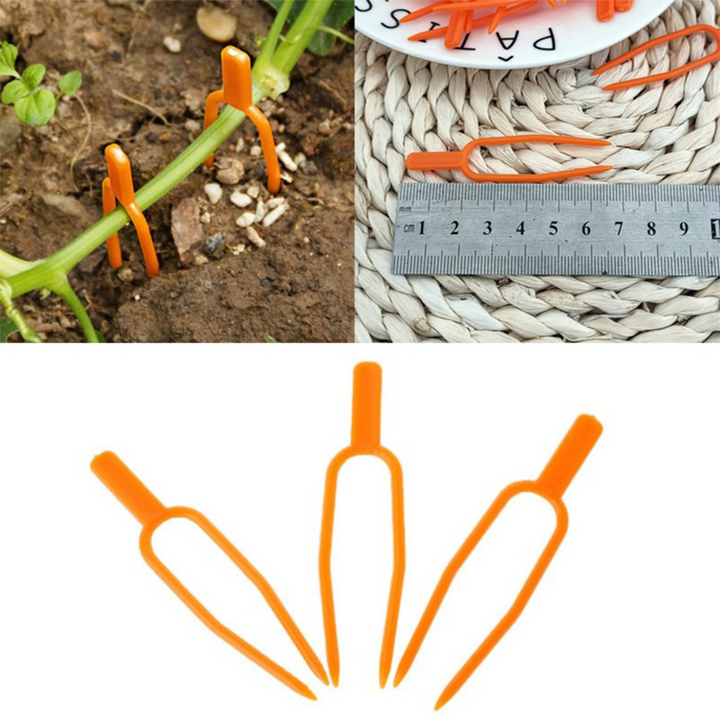 BowLift | Garden plants support clamps made of plastic for optimal plant stability