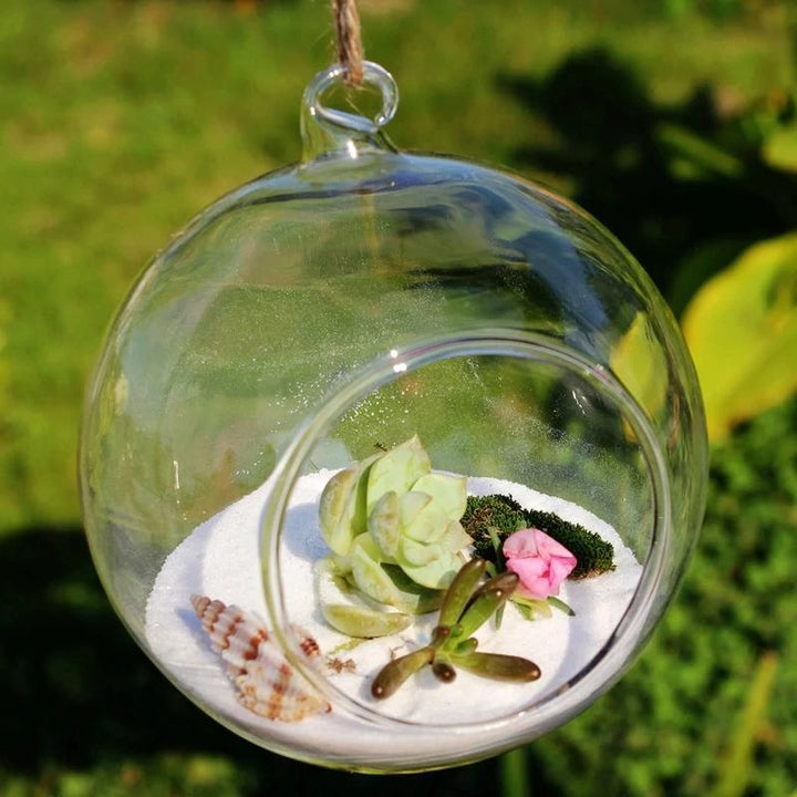 BowLift | Hanging Glass Herb Pots