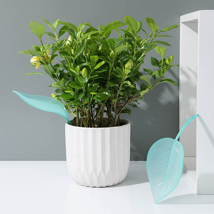 BowLift | Funny Watering Leaves (6pcs)