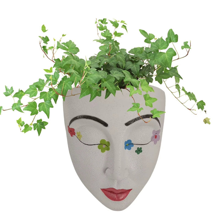 FaceBloom hanging plant box Bowlift