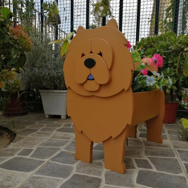 BowLift | PawPlanter Green Pet Oasis