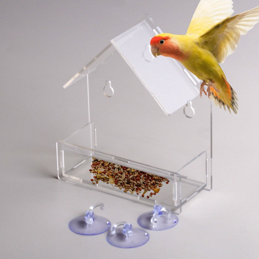 Transparent Acrylic Bird Feeder with Suction Cup