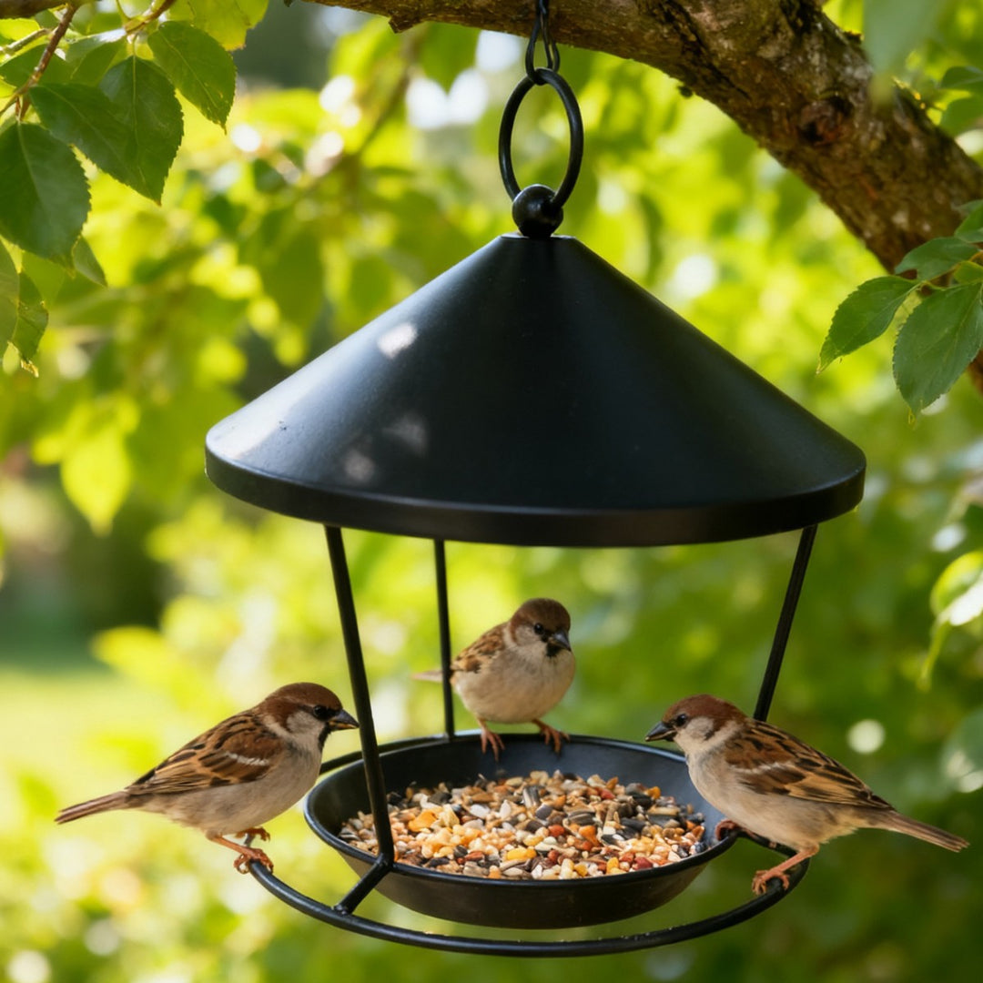 Hanging Bird Feeder Station made of Iron, Ring Design