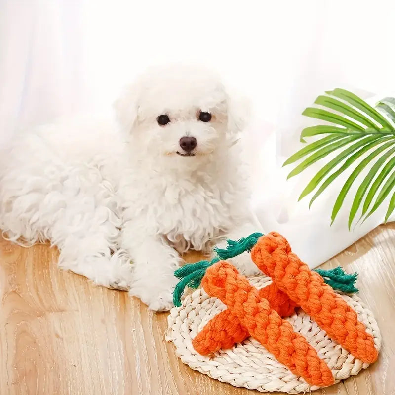 CarrotChew • Dog Chew Toy