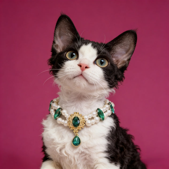 Rhinestone collar for pets, metal