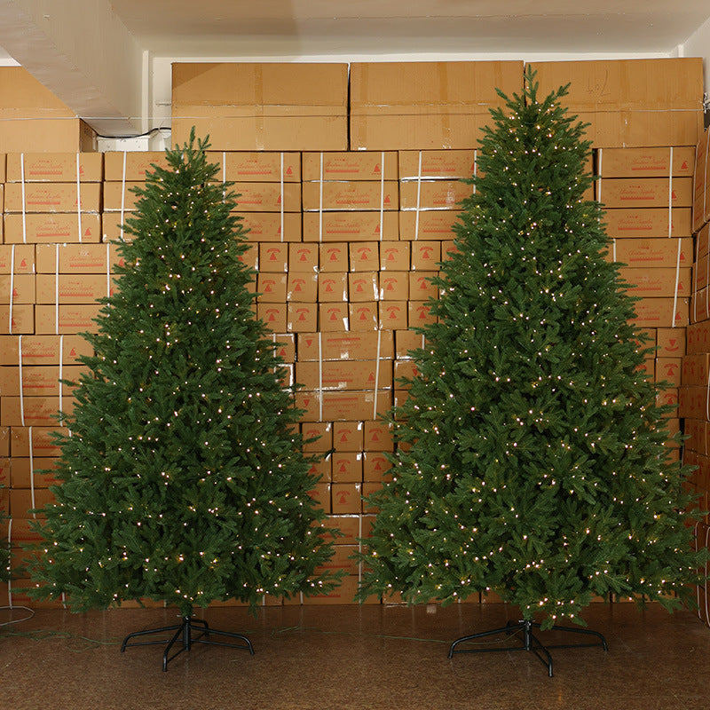 High-quality PE Christmas tree, various sizes