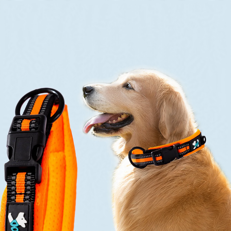 Fabric collar for dogs, adjustable and durable