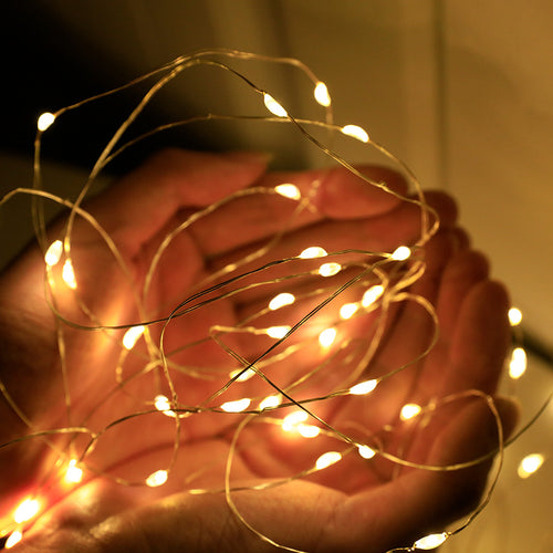 LED Copper Wire String Lights with PVC Coating