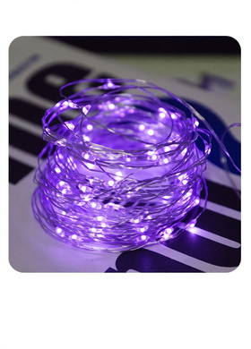 LED Copper Wire String Lights with Battery Box