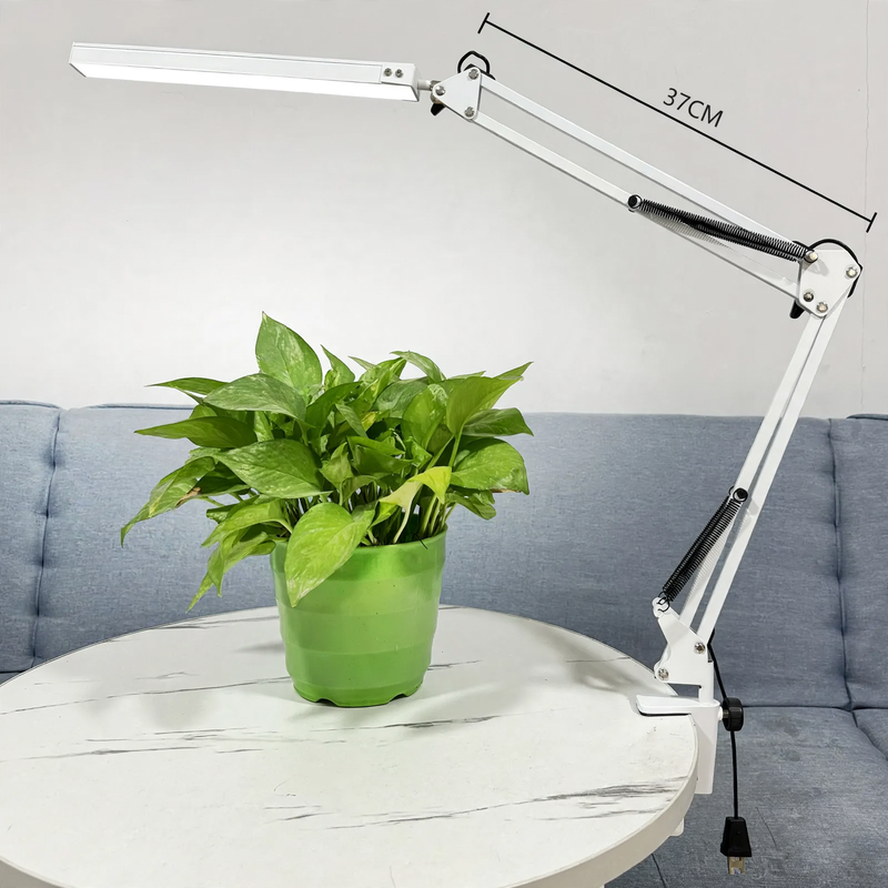 Folding LED Desk Lamp with Long Arm