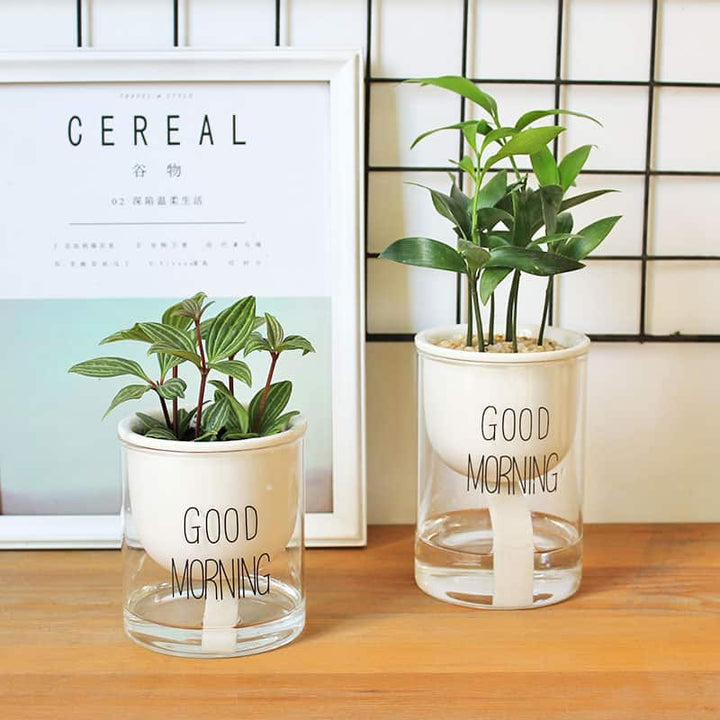 BowLift | Self-watering Hydro-Flower Pot