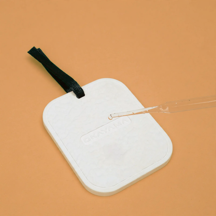 Hanging diatomaceous earth dehumidifier for cabinets