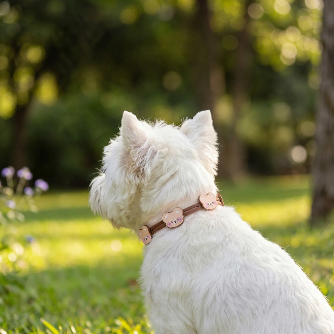 Summer collar for dogs and cats
