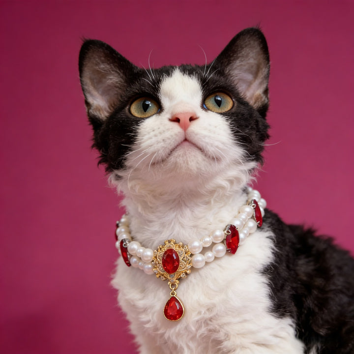 Rhinestone collar for pets, metal