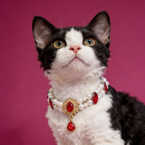 Rhinestone collar for pets, metal