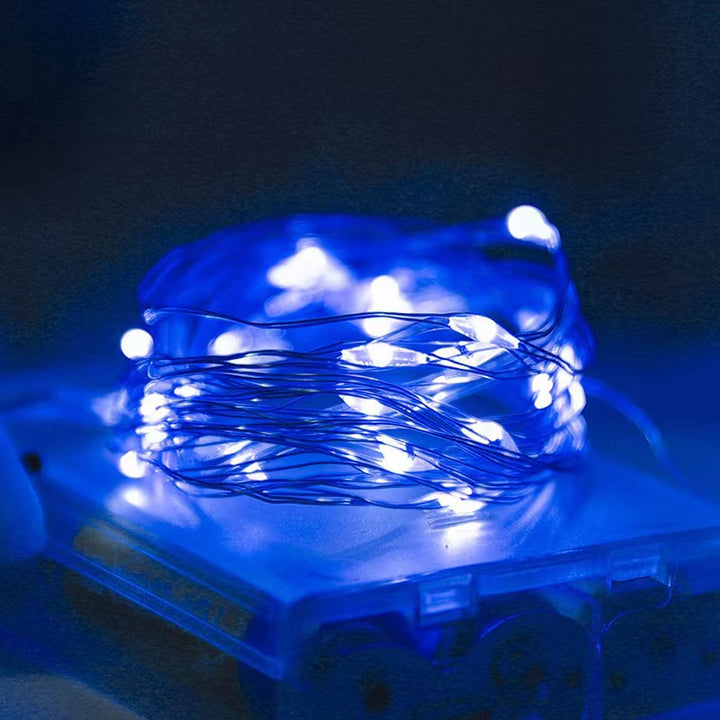 LED Copper Wire String Lights with PVC Coating