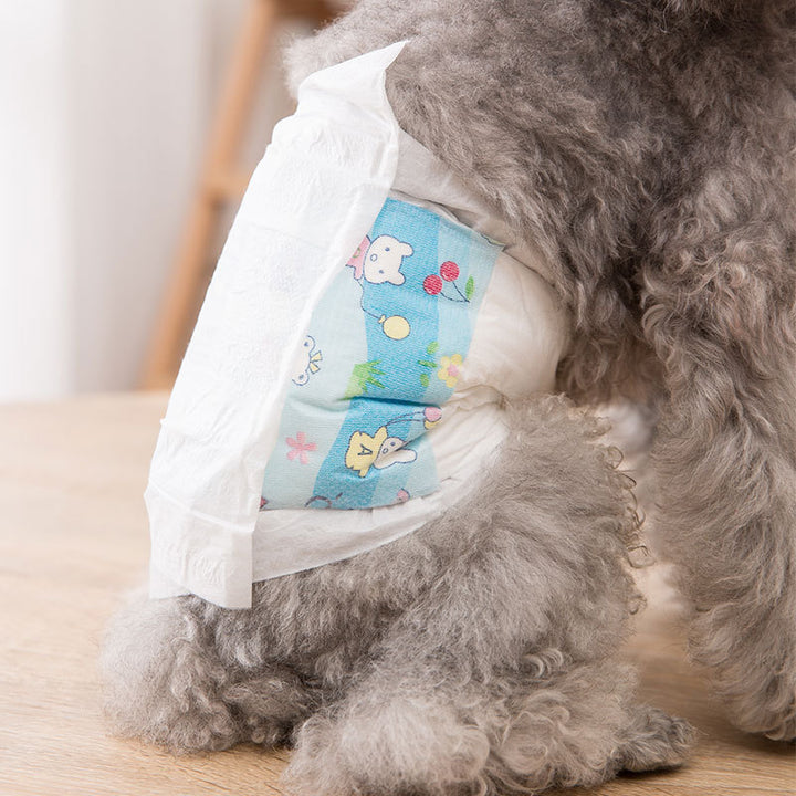 Dog diapers with absorption layer, multiple sizes
