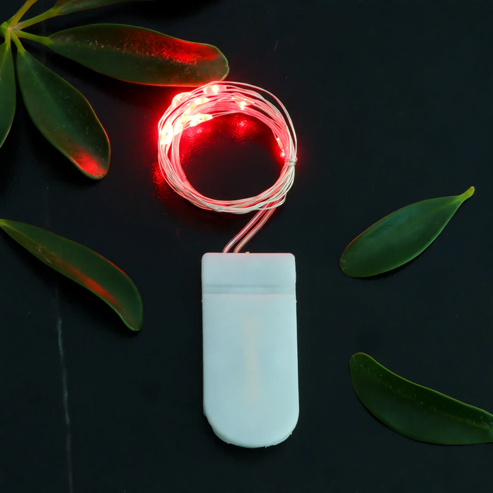 LED copper wire light string with button cell battery box