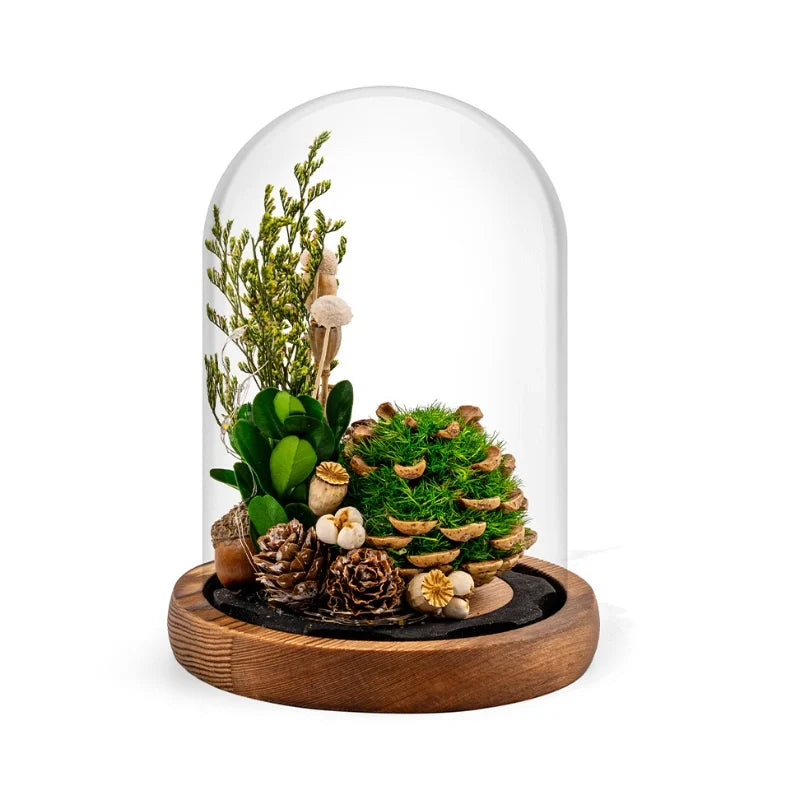 BowLift | EternaBloom Night Light