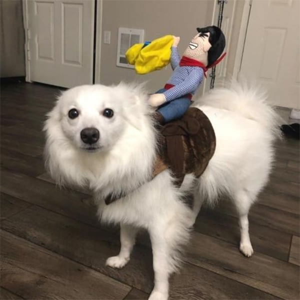 BowLift | The Cowboy Rider Dog Costume