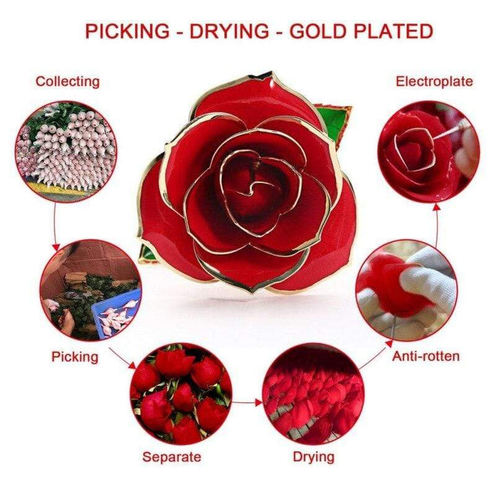 BowLift | 24k Gold Dipped Eternal Rose
