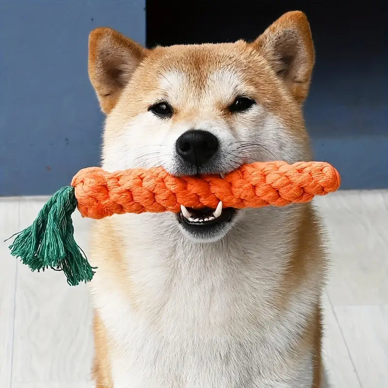 CarrotChew • Dog Chew Toy