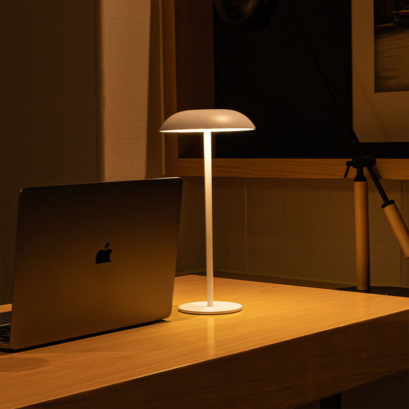 BowLift | Iron Elegance Lamp