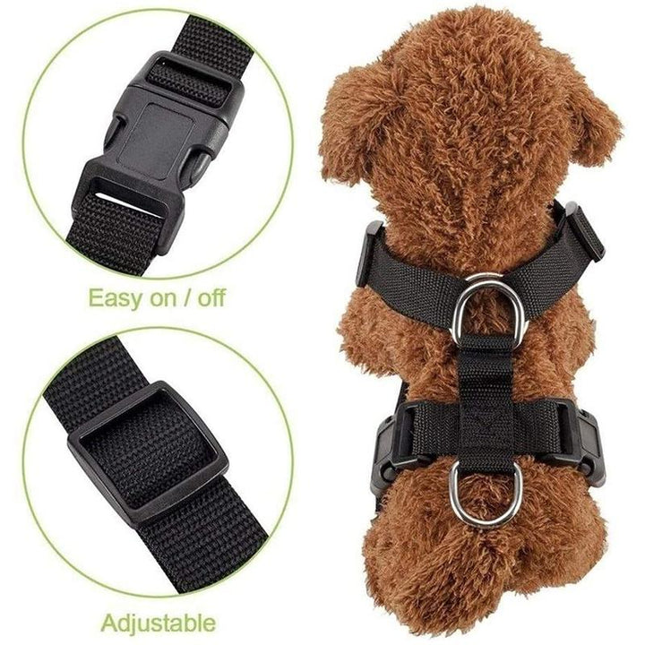 BowLift | Dog Safety Harness Set