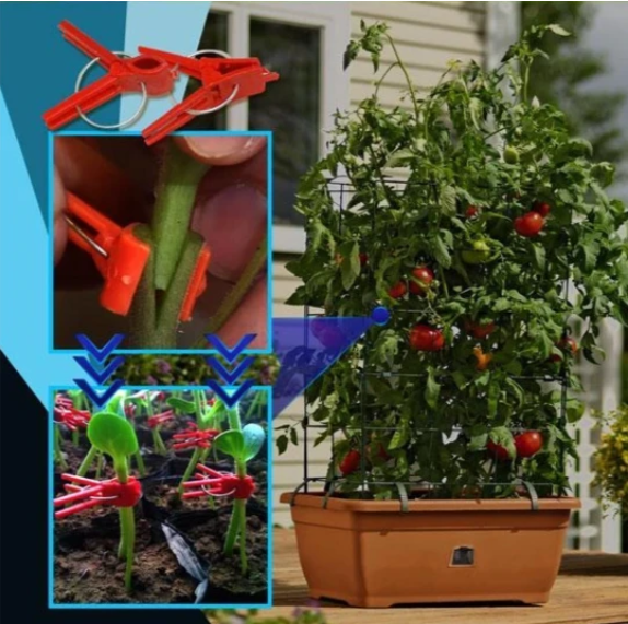 BowLift | Plastic Refinement Clips for Garden Plants – Ideal for Vegetables and Plant Care