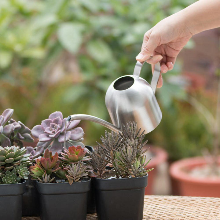 BowLift | Stainless Steel Watering Can with Flexible Neck | Modern Design | Perfect Watering | Rustproof