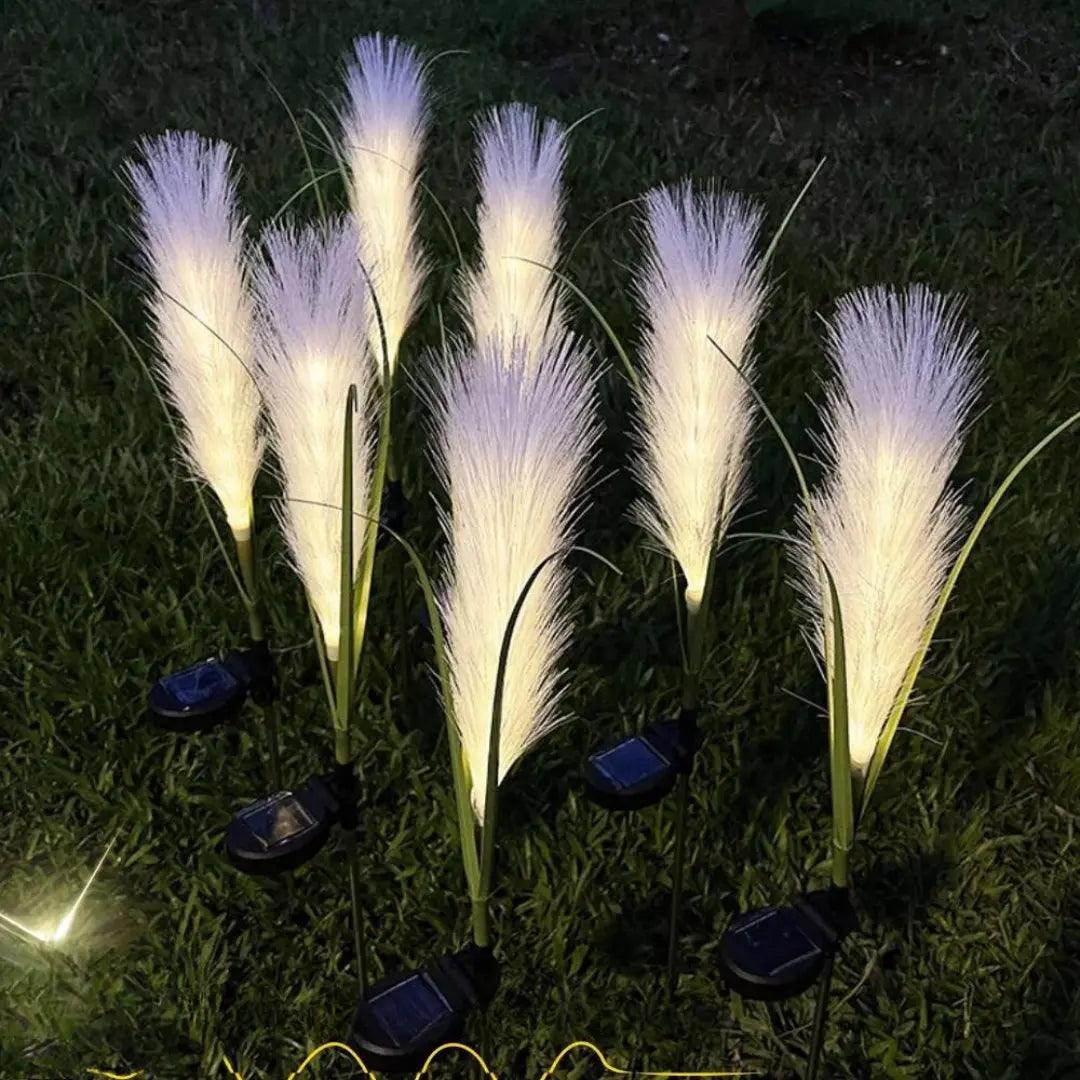 BowLift | EcoGlo – Sustainable Solar Reed Lamp
