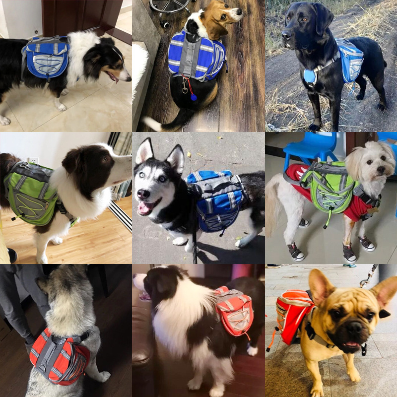 Pet Backpack Carrier Bowlift