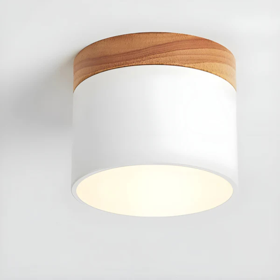 BowLift | Vintage LED Ceiling Lamp