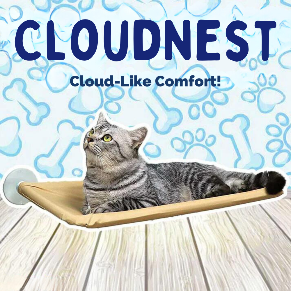 CloudNest • Cat Window Hammock