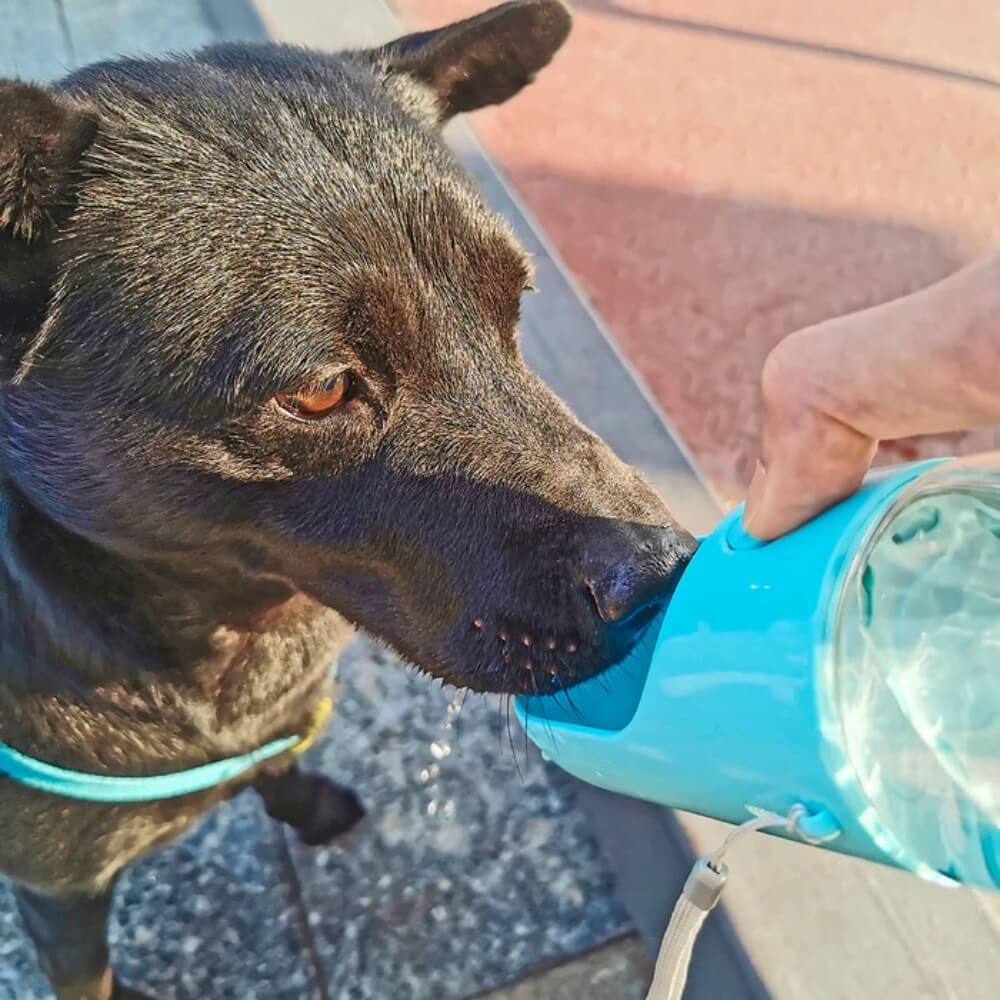 AquaPaws • Portable Dog Water Bottle