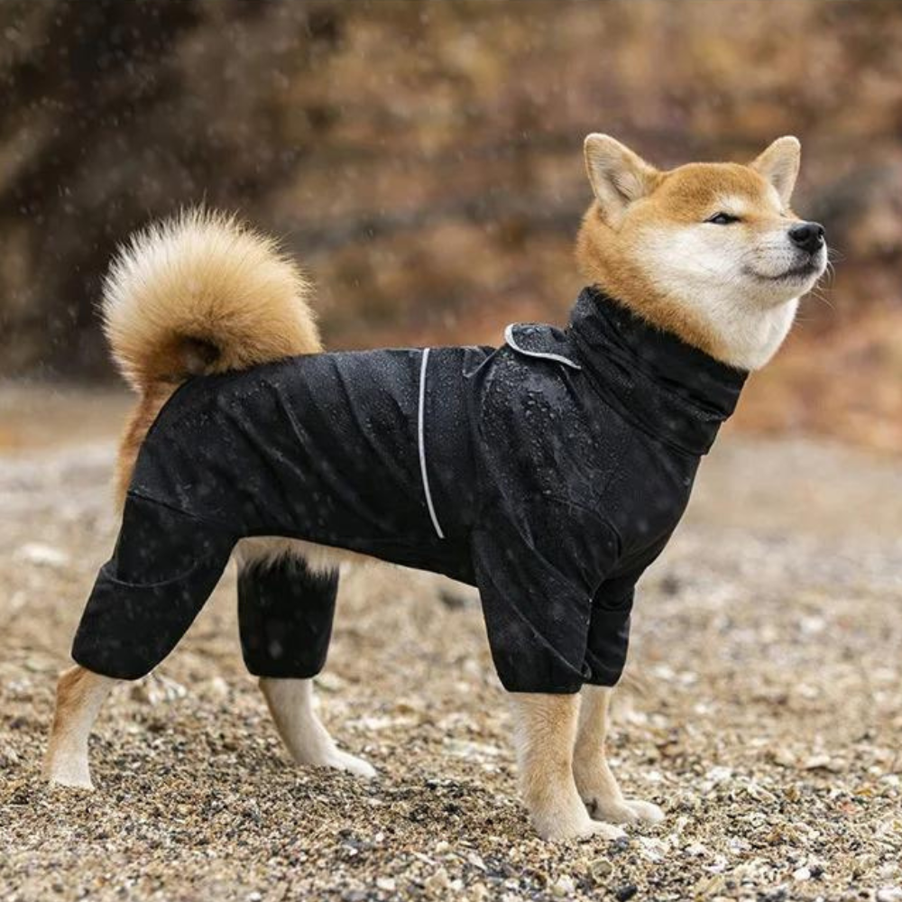 StormGuard • Dog Waterproof Raincoat