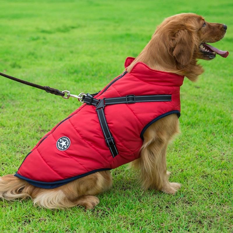 Winter coat with zipper for dogs | Bowlift