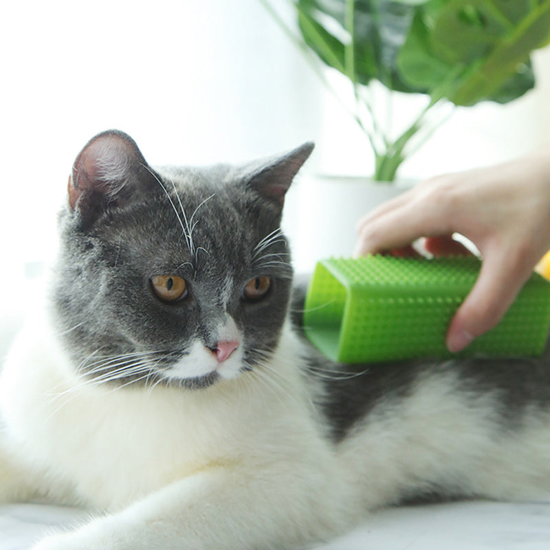 BowLift | Pet Silicone Hair Remover