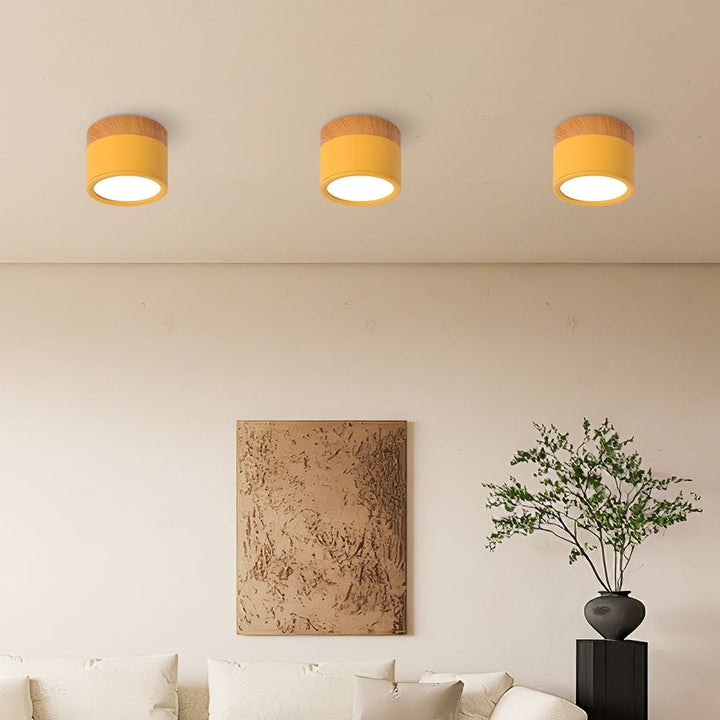 BowLift | Ceiling Light with Pink Flush Wood Finish