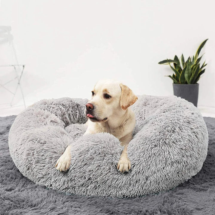 Premium Dog Bed Bowlift