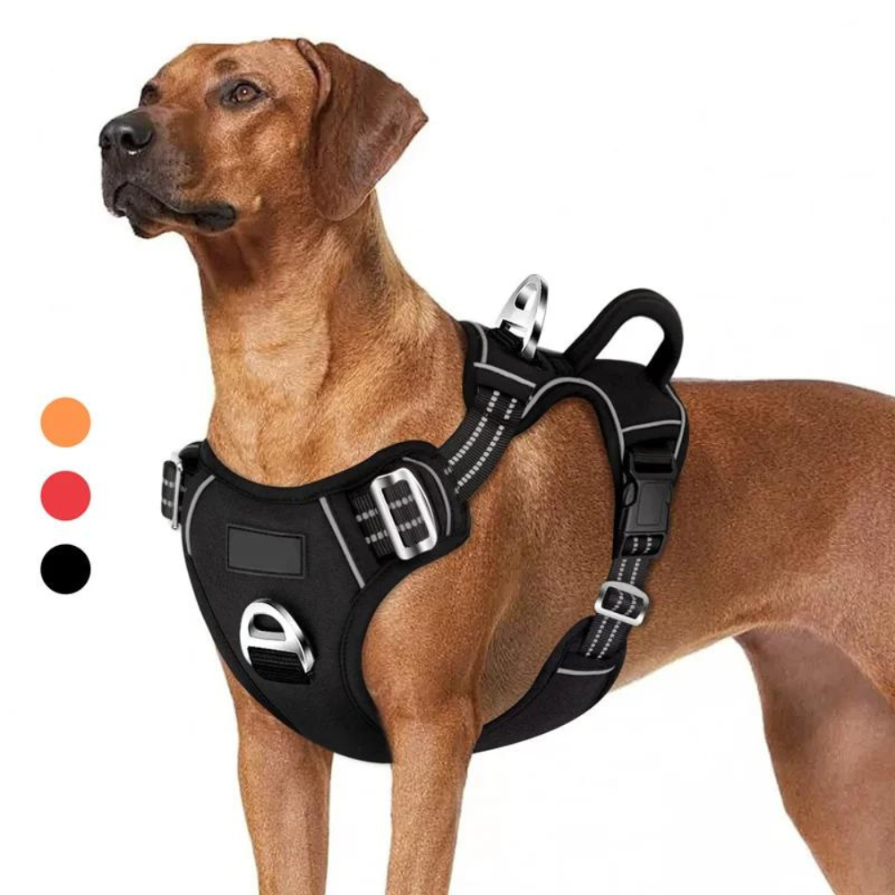 PowerHarness •  No Pull Dog Harness