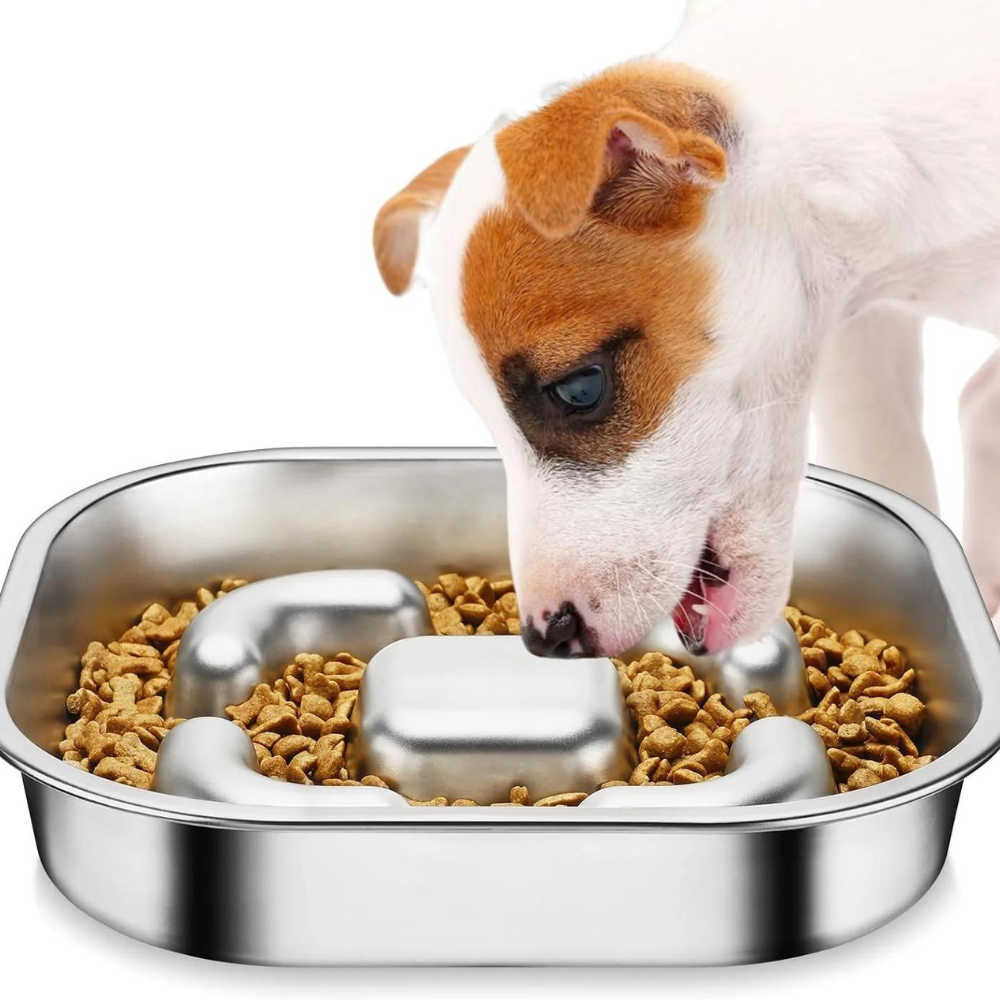 MightyBite • Dog Feeding Bowl Slow