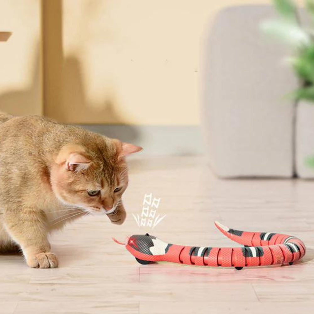 SerpentToy • Snake Cat Toy