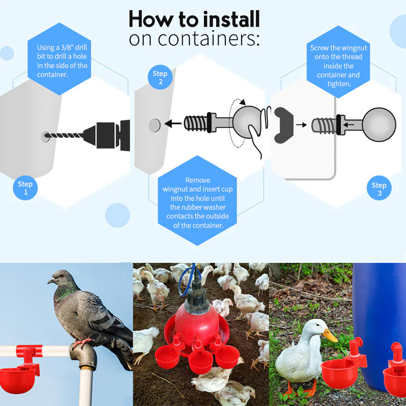 BowLift | Automatic Poultry Drinker