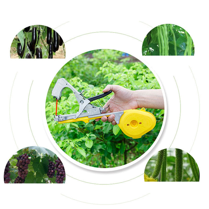 BowLift | Vegetable & Fruit Strapper