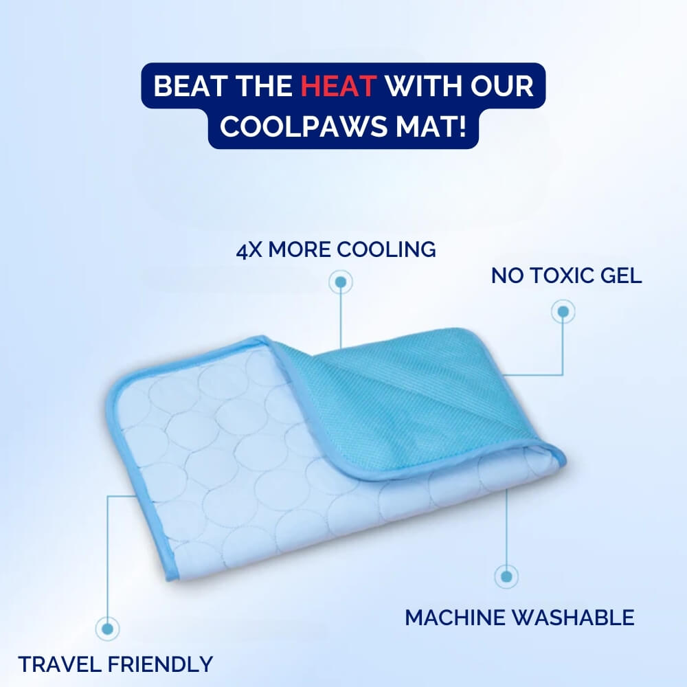 CoolPaws • Dog Cooling Mat